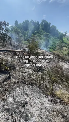 parah men🤣#petanimuda #fyp 