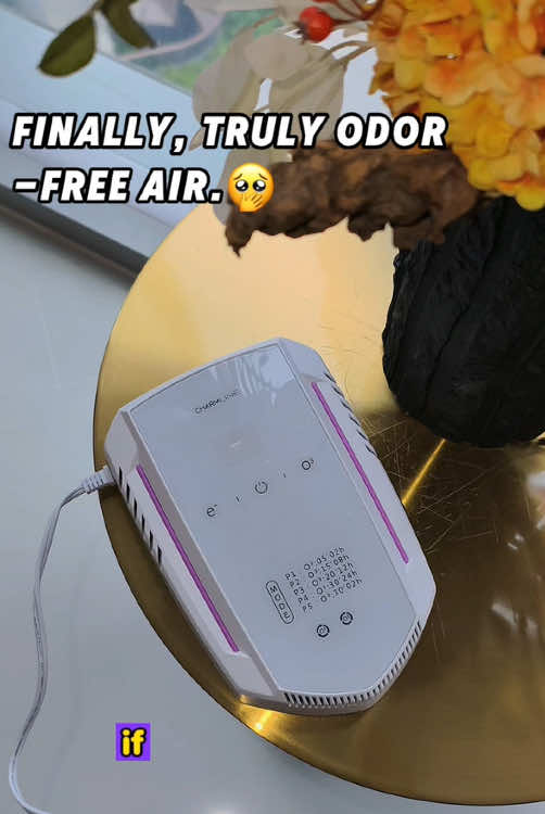 Finally, Truly Odor-Free Air. #CleanAir #AirPurifier #smellgood #bigsale #tiktokshopmusthaves #tiktokmademebuyit #flashsale #tiktokshopfinds #tiktokshop #buyonegetonefree #cleanhome #fyp #tiktokshopsummersale #tiktokshopblackfriday #air