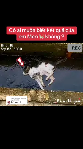 Trả lời @Dung Nguyễn79919 xem hết video chắc ai cũng bất ngờ