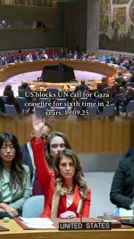 Breaking news | United States VETOES Security Council draft resolution that would have demanded immediate, unconditional & permanent ceasefire in Gaza, and immediate, dignified & unconditional release of all hostages held by Hamas & other groups. In Favor: 14 Against: 1 (US) Abstain: 0 #foryoupage #foruyou #foru #fyp #fypppppppppppppp 