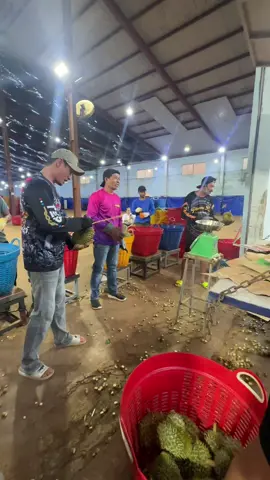 Mấy a thái lan bắt hàng đăng cấp thật nhanh gọn lẹ @Anh phat 47 #xuhuong #sâurieng #47daklak #xuhuongtiktok #anhem47đăklăk 