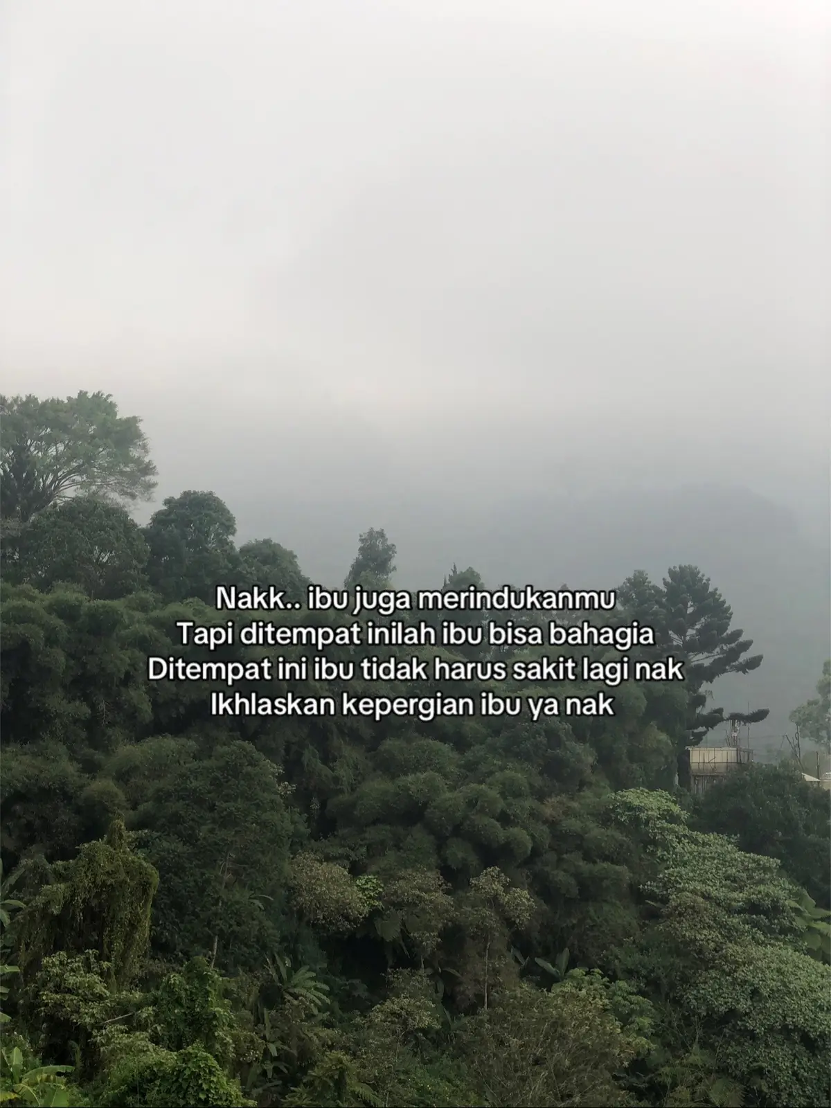 #fypage #🕊️ #🥀 