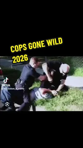 #co #cops #po #law #lawyer 