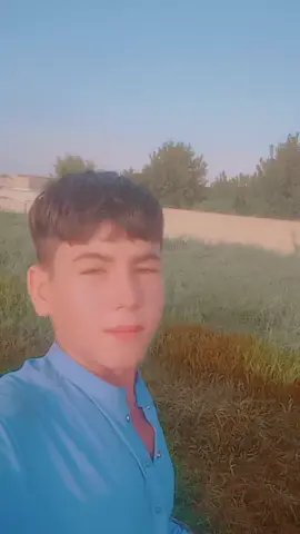 1M ve