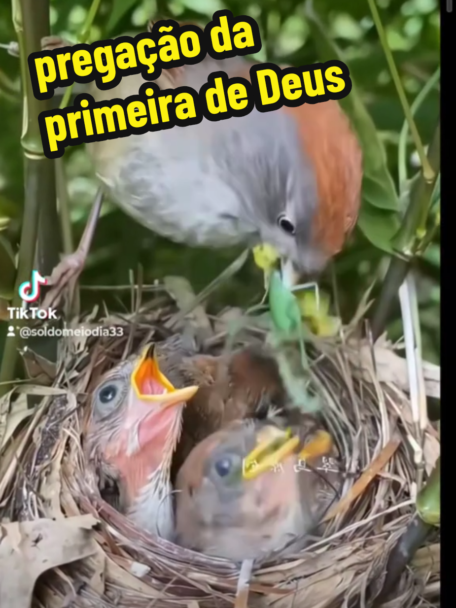 #ccbbrasil #Deus #fe 