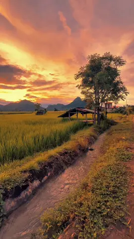 ต่อจากนี้ไปความหวังตั้งไว้ฝากโชคชะตา#วิวบ้านนอก🍃 #ท้องฟ้า⛅🌈 #อีสานบ้านเฮา #ต่างจังหวัด 