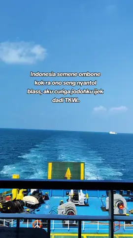 Cinta dari seberang🎶🎧💃 #cintadariseberang #overlay #fypage 