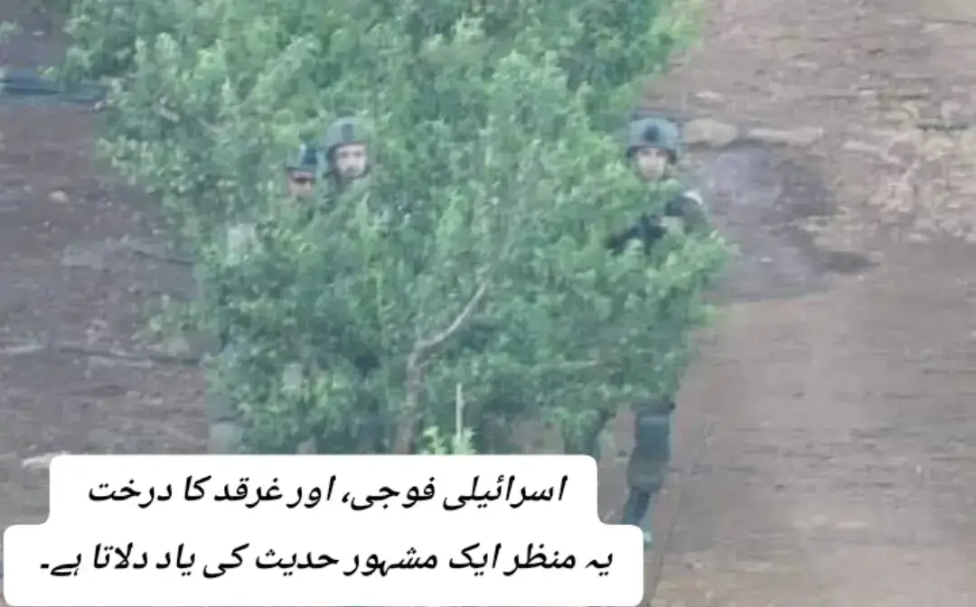 اسرائیلی فوجی، اور غرقد کا درخت یہ منظر ایک مشہور حدیث کی یاد دلاتا ہے۔