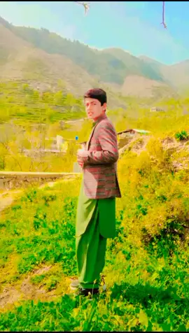 jansyed Jani like