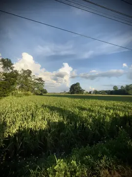 原来，最痛苦的不是失去你……而是看到你属于别人。 Hóa ra, điều đau nhất không phải mất em… mà là thấy em thuộc về người khác.