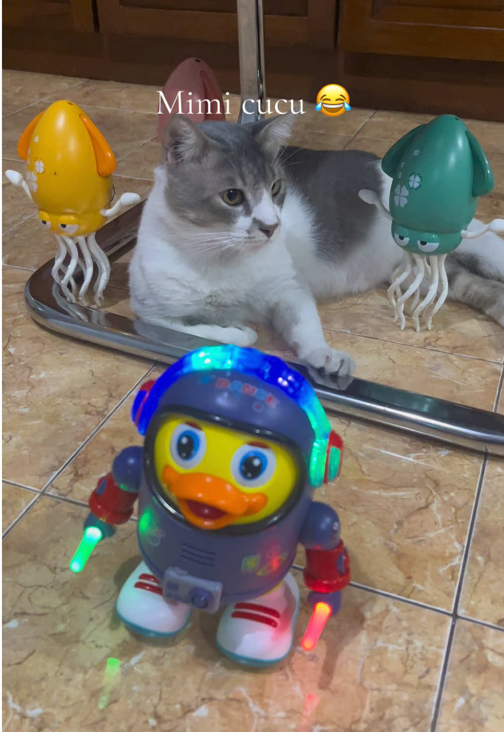 Mainan anak robot bebek joget viral #mainananak #mainanviral #mainan #mainanbebekangkasajoget #mainanbebekastronotjoget 