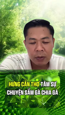 SƯ KÊ HƯNG CẦN THƠ TÂM SỰ CHUYỆN CHIA GÀ SẮM GÀ #HUNGCANTHO #TRAIGAHUNGCANTHO #daga #gada #XUHUONG 