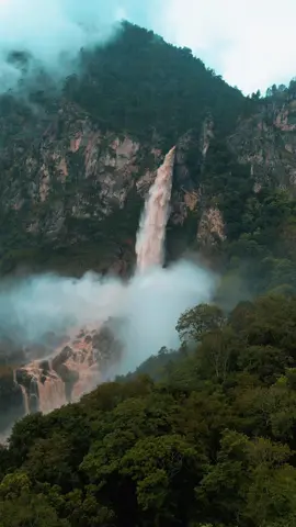 #basachhuwaterfall  #biggestwaterfallinbhutan  #bhutanbeauty  #naturelover 