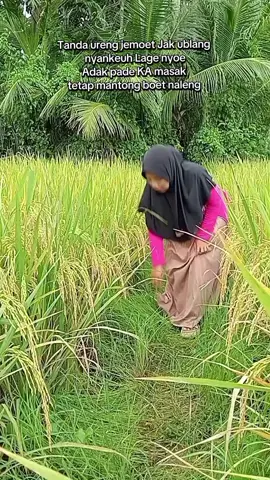 Penteng ka cinta tetap adek tem Jak ublang🤣🤣🤣 #tandingvideo #viral #fyp #hiburan #bismilahfyp 