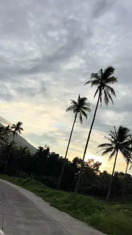 the view is💚😍 #sunset #green #fyp #fypage #4u 