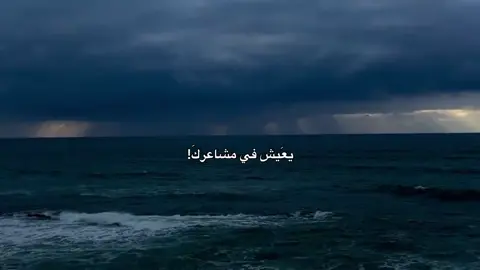 إلي تحبهَ يعَيش في مشاعركَ🤎،  #احمد_الوائلي #شيعة_علي_الكرار #لايك_متابعه_اكسبلور #متابعه_ولايك_واكسبلور_احبكم #صعدو_الفيديو 