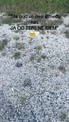 @🇦🇱🇧🇦Aldina🇧🇦🇦🇱 🤍