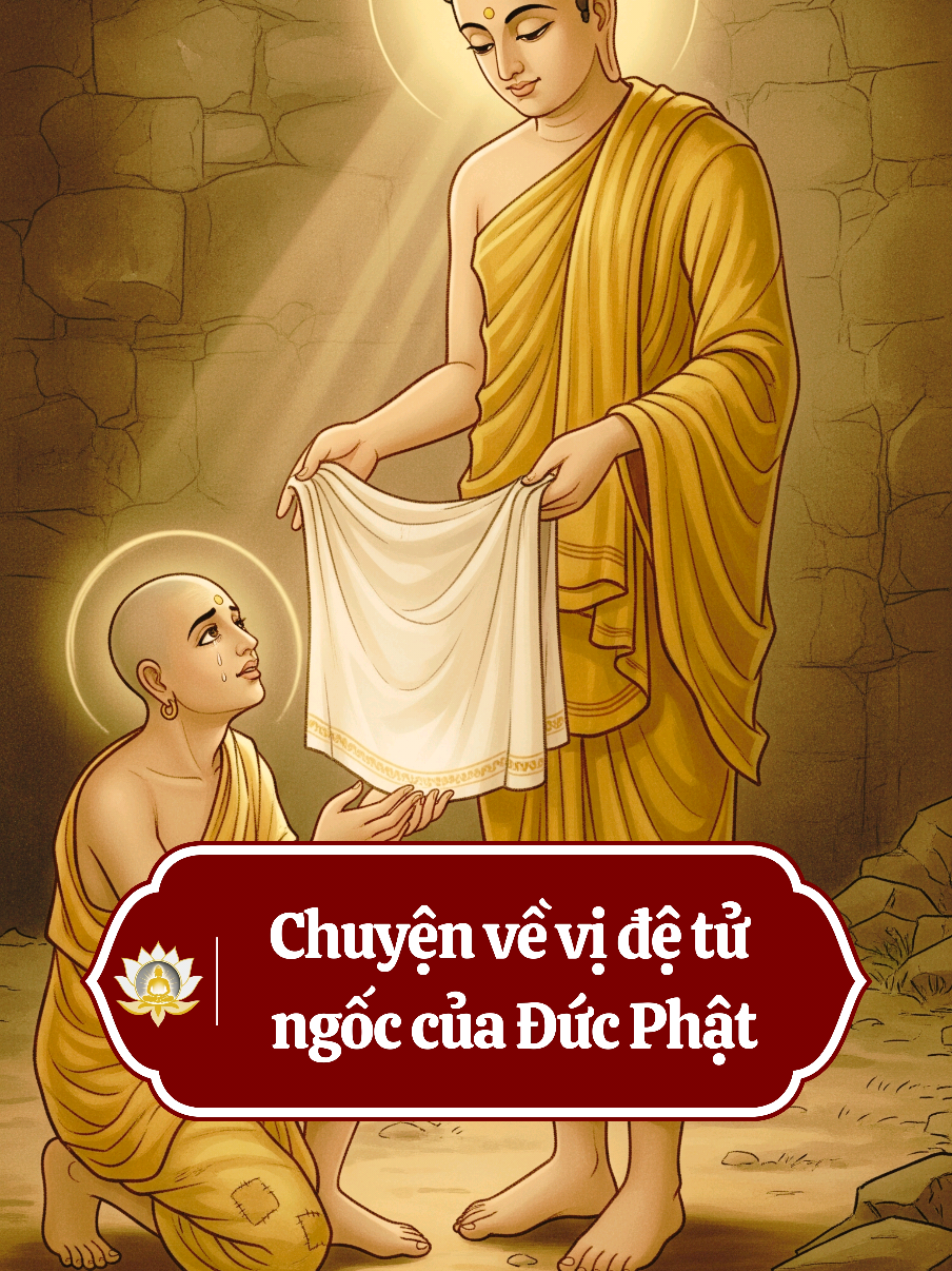 Chuyện về vị để tử ngốc của Đức Phật #thichphaphoa #cauchuyenphatgiao #phatgiaonhiemmau #hocphatmoingay #phatgiaodaicuong 