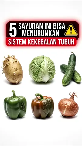 @Sumberbelik 5 Jenis Sayuran Yang Bisa Menurunkan Sistem Kekebalan Tubuh #sumberbelik #videoviral #tiktokviral 