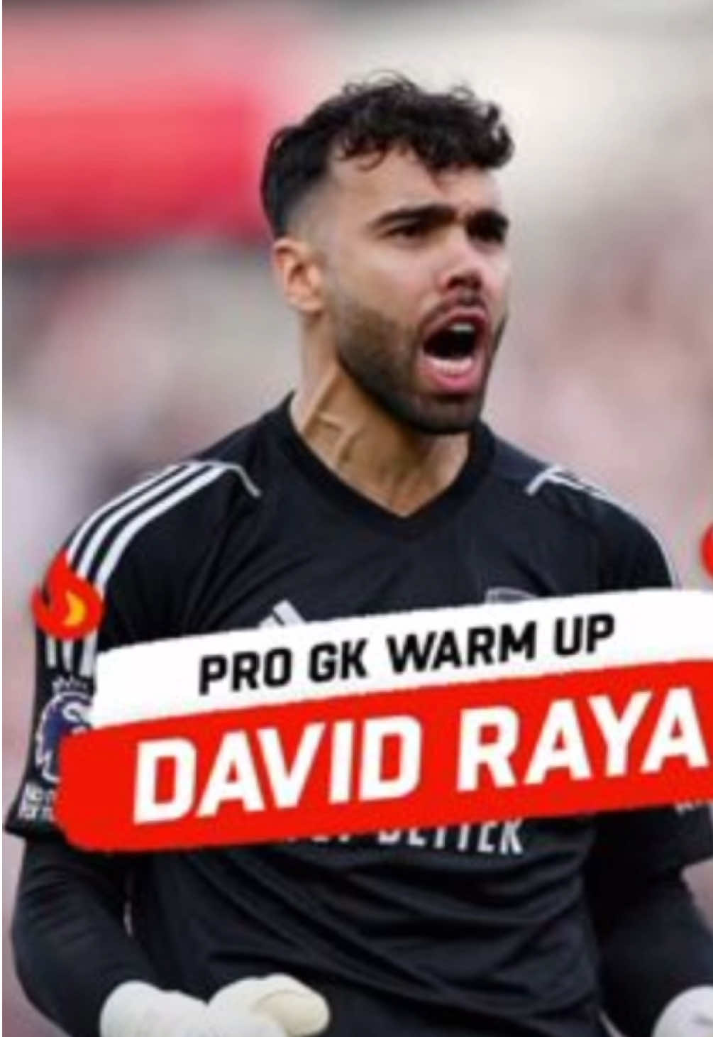 David Raya Arsenal Game Warm Up 🧤 #goalkeeper #soccertiktok #arsenal #arsenalfc #PremierLeague 