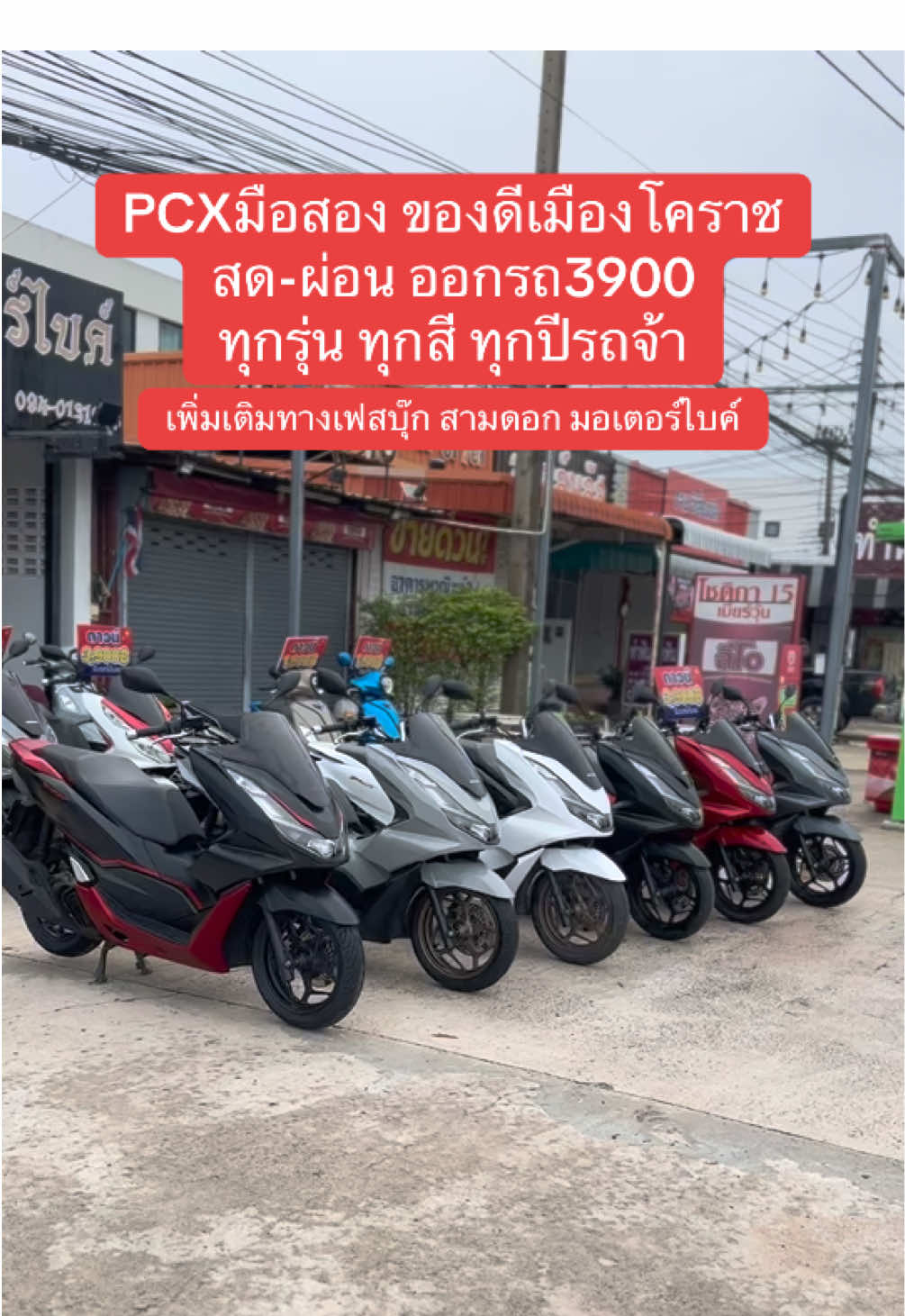 👉สามดอก มอเตอร์ไบค์              ร้านเปิดทุกวันนะคับ   ออกรถ 🌟3900                           ไม่ต้องใช้คนค้ำ❗️   -อายุ 20-65 ปี  -อายุงาน 4เดือนขึ้นไป                 รายได้ 8,000+  ❌ติดแบล็คลิส, บูโร,แท็กซิ่ง ยังออกไม่ได้นะคับ ดูรถได้ที่ อ.เมืองโคราช  เเถวตลาดโอเอ็มไนท์                   หลังโลตัสหัวทะเล โคราช ต่างจังหวัด มีบริการจัดส่ง ☎️ 094-0131648 (ปาล์ม) #pcxโคราช #PCXมือสอง #PCXผ่อน #มอเตอร์ไซค์มือสอง #pcx160     