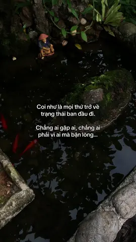 …#tamtrang #story 