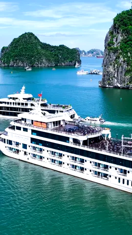 Đua du thuyền trên Vịnh.
