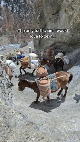 I want this kind of traffic jam ..but in real im facing the jamm of Kathmandu 🥲 #nature #beauty #nepal #trafficjam 