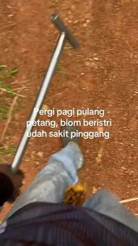 Hidup hidup 🙂‍↔️#kulisawi #kulisawitmalaysia🌴🇲🇾🇮🇩 @@uwehh @@Z@® 