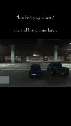 we do everything but the heist  #gta #gta5  #gta5_funny #gta5clips  #gtaonline 