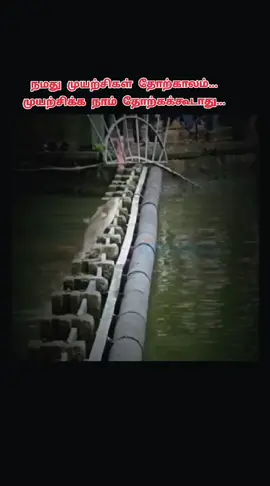 #fish  #diving  #motivational  #explorepage✨  #fypシ゚viral🖤tiktok☆♡🦋myvideo 