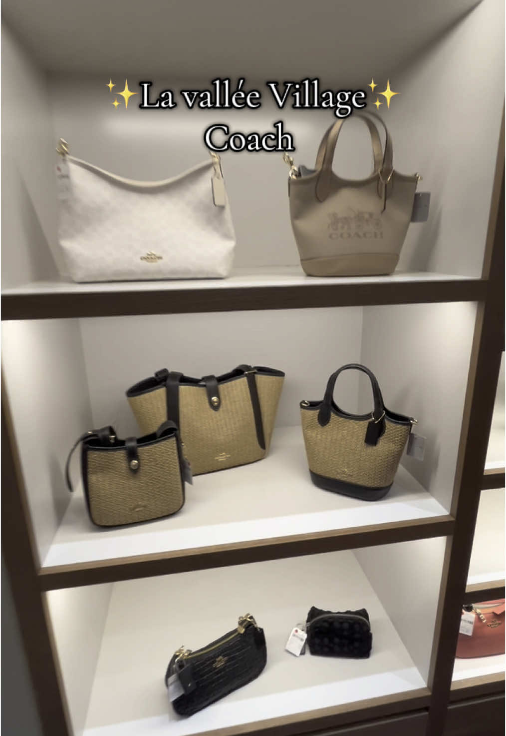 #lavalleevillage #shoppingaddict #pourtoi #sac @La Vallee Village #fyp 