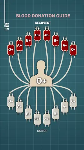 Blood Donation Guide - This animation to clearly show how blood type compatibility works. The chart highlights who can donate to whom, and who can safely receive blood. It’s important to know this information, as it can save lives in emergencies and ensure safe transfusions.