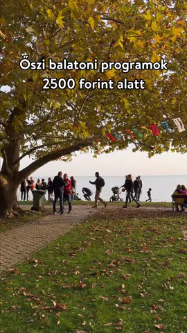 Az előttünk álló szeptemberi hétvégéket még bőven kihasználhatjuk feltöltődésre, így hoztunk Nektek néhány 2500 Ft alatti programot Balatonnál – nápolyi pizza, villaséta, kertmozi… 🍂 Részletekért irány a cikkünk! Link a bióban! 🔗 #welovebalaton #balaton #ősz #programajánló #utazzitthon 