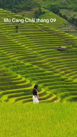 🌾 MÙA VÀNG MÙ CANG CHẢI 2025 – CHỜ BẠN KHÁM PHÁ!  Bạn đã từng mơ được chạm tay vào mùa vàng Tây Bắc – nơi những thửa ruộng bậc thang uốn lượn như sóng lúa? ✨ Tháng 9 này, giấc mơ ấy sẽ thành hiện thực khi Mù Cang Chải bước vào thời khắc rực rỡ nhất năm. 🚍 Mù Cang Chải - Ngọc Chiến 3N2Đ 👉 Khởi hành: thứ 6 hàng tuần  💰 Trọn gói: 2.490.000đ 🚍 Mùa vàng Mù Cang Chải 2N1Đ 👉Khởi hành: Thứ 7 hàng tuần  💰 Trọn gói: 1.790.000 💛💯 ĐIỂM NỔI BẬT TRONG CHƯƠNG TRÌNH: 👉 Khám phá thung lũng Tú Lệ - Ngọc Chiến 👉 Tự tay làm ra sản phẩm cốm Tú Lệ 👉 Văn hóa ẩm thực Tây Bắc 👉 Chinh phục đèo Khau Phạ - Tứ đại đỉnh đèo 👉 Điểm check-in sang chảnh 👉 Thỏa sức chụp ảnh bên những ruộng bậc thang 👉 nhất Việt Nam 👉 Chinh phục đồi mâm xôi – Đồi Móng Ngựa 👉 Chinh phục hệ thống ruộng bậc thang lớn nhất Việt Nam: La Pán Tẩn – Chế Cu Nha 👉 Tắm suối khoáng nóng tại Bản Lướt - Ngọc Chiến 👉 Homestay gỗ pơ mu truyền thống của người Thái Tây Bắc 👉 Xe ôtô hiện đại, đời mới. 👉 Chụp ảnh, video tặng du khách 👉 Số chỗ có hạn, ai nhanh tay sẽ có được “tấm vé mùa vàng” trọn vẹn nhất!                                              Chi tiết inbox: 036 245 8896 mrs. Phương