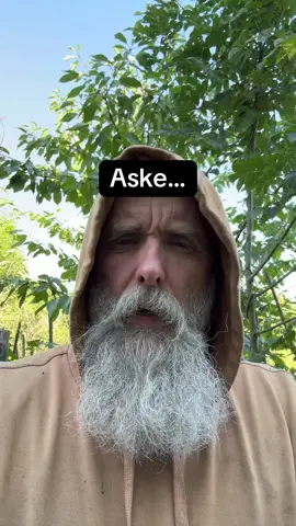 #aske#metal#wildestdreams#varg#ash