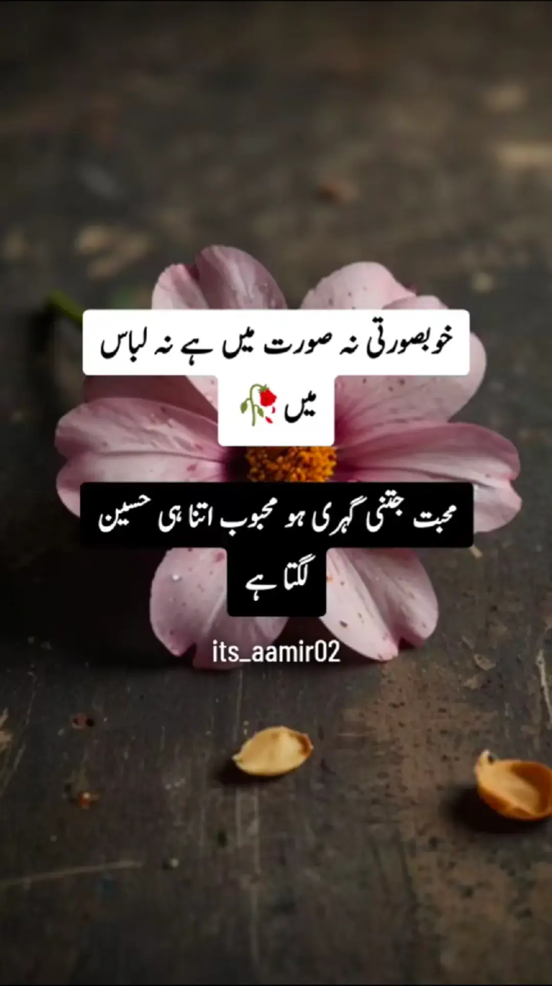 #its_aamir88 #foryoupage 