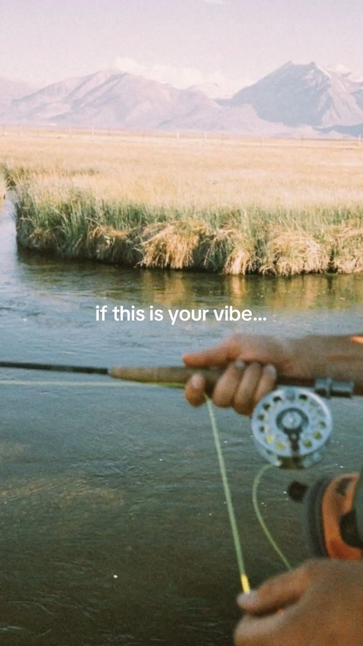 if this is your vibe I think you’d love my brand🐟 #SmallBusiness 