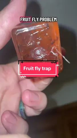 Super ninja fruit fly trap #FlyTrap #fruitflytrap #FruitFlies #SuperNinja 