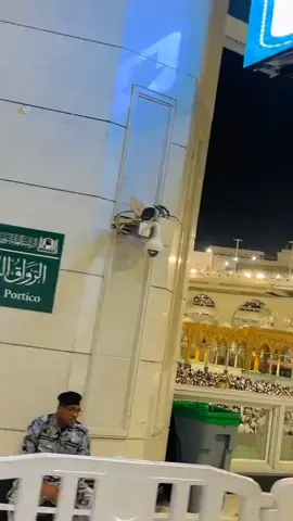 🕋🕋🕋🕋🕋