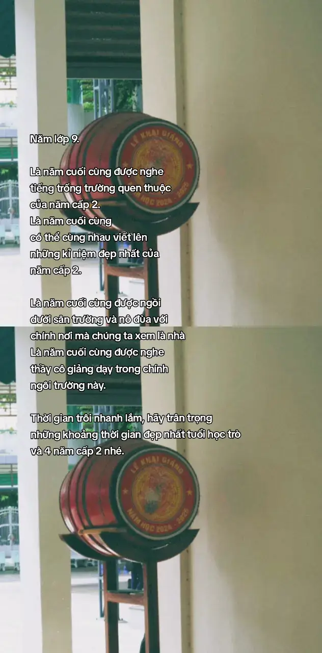 Là năm cuối cùng của tất cả trong 4 năm cấp 2. #vientamthan99 #lop99 #thcsbentre #xuhuong #athousandyears  ảnh: @lgvs_zinnmc 