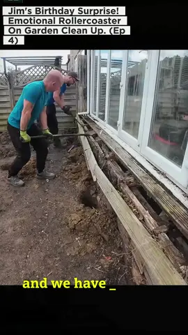 Look at these rotten wooden platforms, it's too dangerous for Jim and Jean.☹️ #cleaningtiktok #uktiktok #cleanup #CleanTok #gardening 