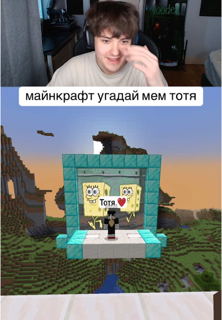 угадай брейнрот мем #майнкрафт #Minecraft #minecraftmemes #реки #woodell #интуиция #тотя #мем #ржака 