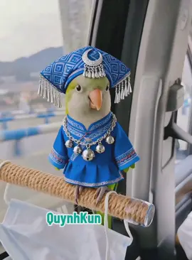 em gái vùng cao #quynhkun 