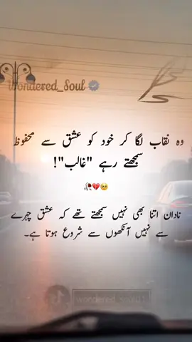 Nadan thi😔😒 #MirzaGhalib #UrduPoetry #Ghazal #GhalibKiShayari #poetrylovers🥀 