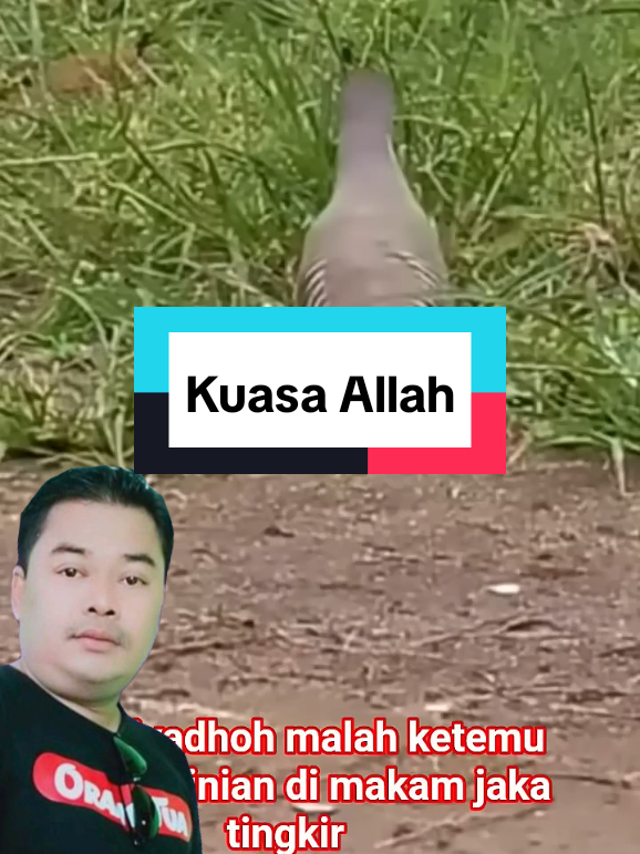 Kuasa Allah #kuasa #Allah #kuasaallah #fyp 