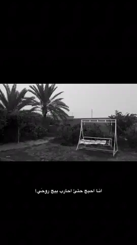 #تكريت #شعر #شعر_عراقي #صلاح_الدين #اكسبلور 