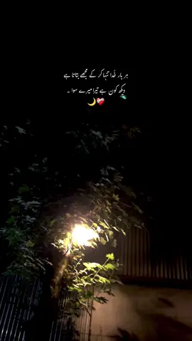 دیکھ کون ہے تیرا میرے سوا 💔🥺☝️:#repost #hmxii_ #sound #poetry #trendiing 