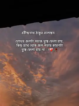 ❤️‍🩹🖤#mira_officials_09 #unfrezzmyaccount #growmyaccount #foryoupageofficiall #viralplz🙏 @TikTok Bangladesh @TikTok 