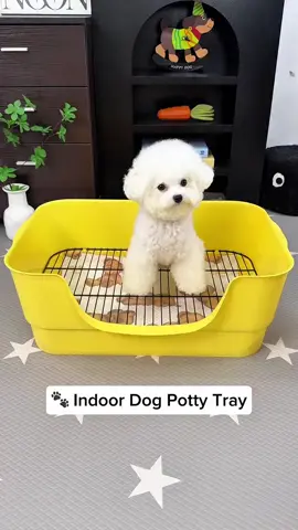 #dogowners #PetAccessories #dogsoftiktok #smalldog #PetParentTips 